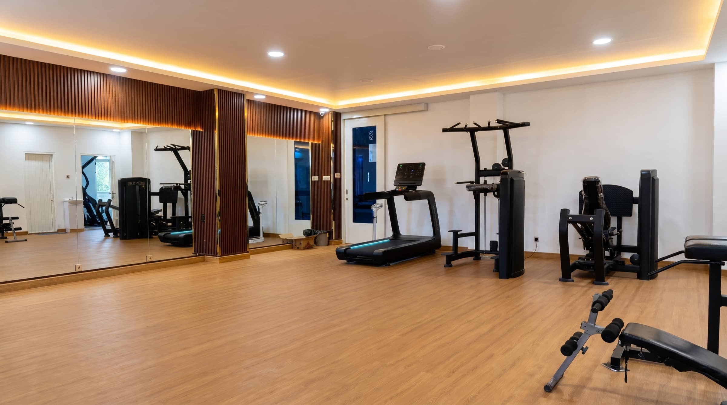 FE Holistic Wellness